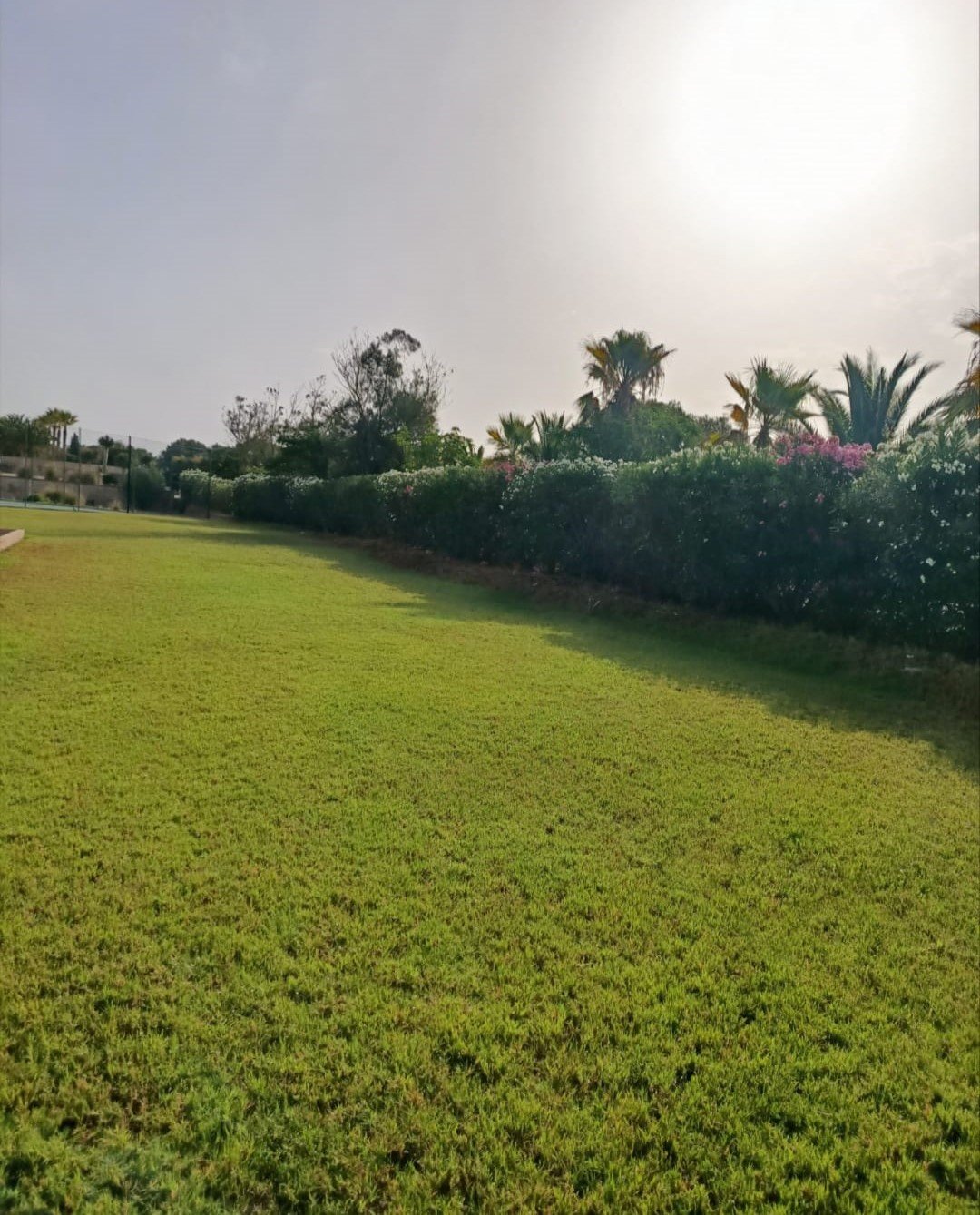 ayd jardines mallorca
