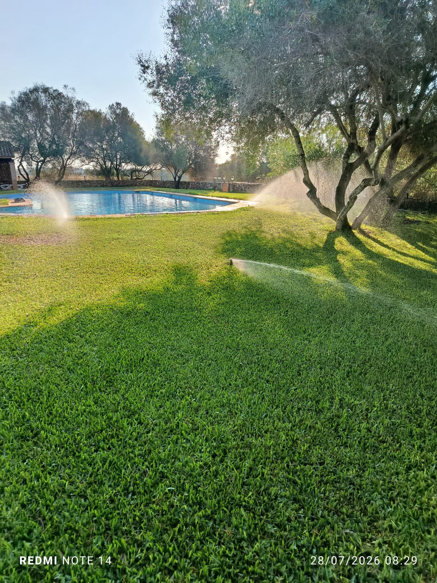cuidado de jardines