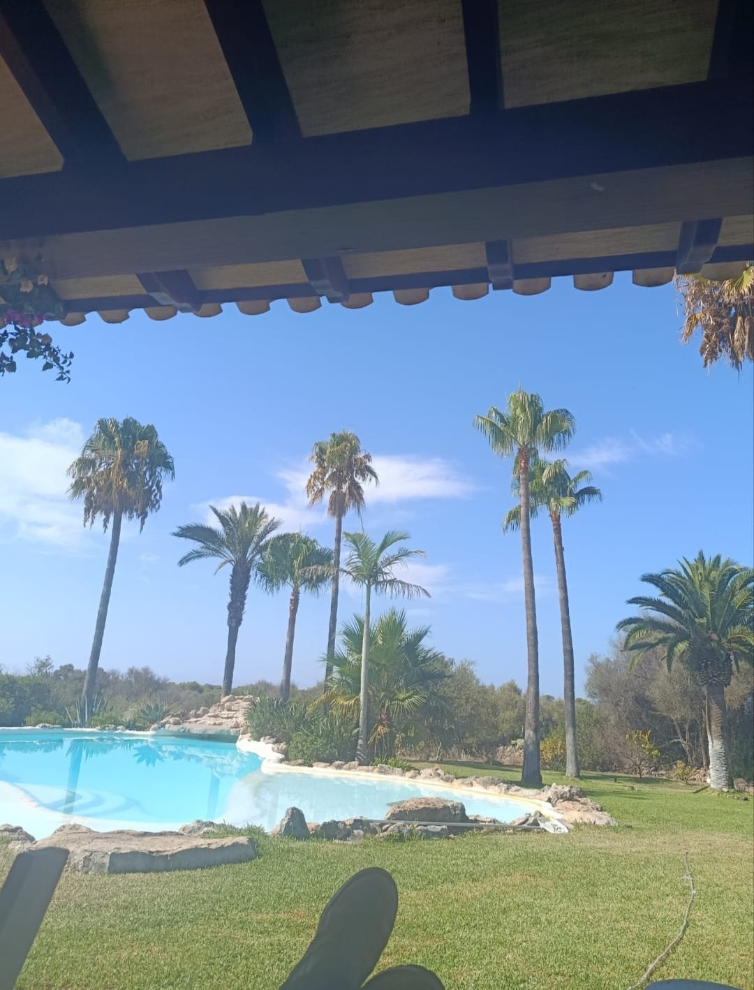 cuidado jardin mallorca